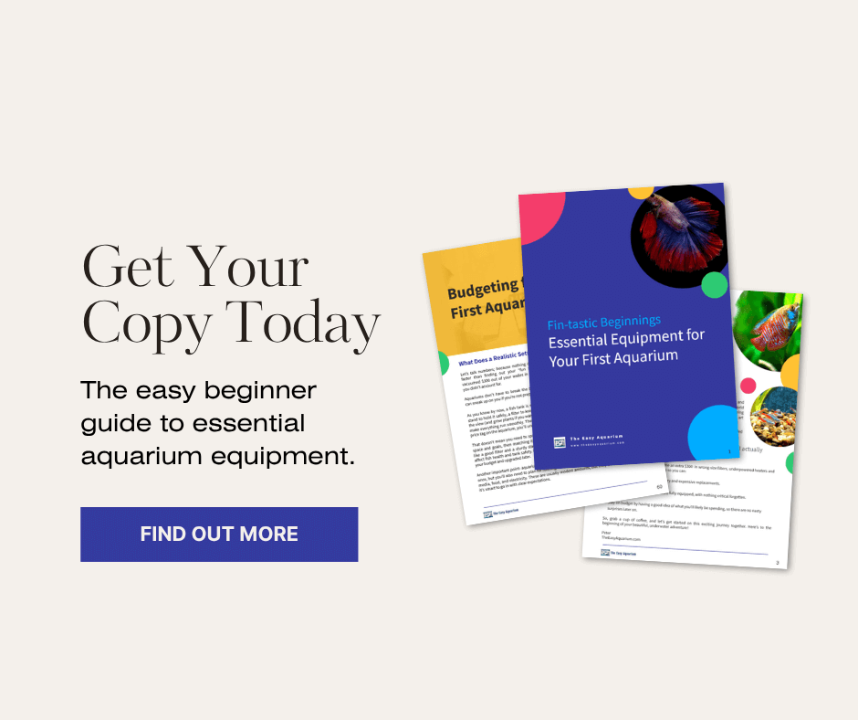 Fin-tastic Beginnings: Essential Equipment For Your First Aquarium